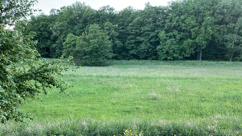 Wohnen mit Charakter: Großzügige 5-Zimmer-Wohnung in Waidmannslust — photo 1